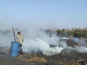 DSCF90771-300x225 מפחמים לנו את הריאות