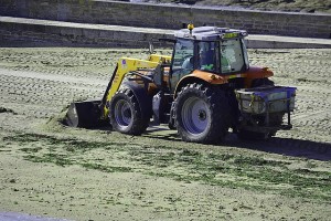 backhoe-1076881_640-300x200 אושרה תכנית הבנייה במתחם החקלאי  