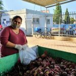 נשבר שיא הזמנות בדואר ישראל:   1,000,000 חבילות נחתו בארץ בסוף שבוע אחד במשקל 350 טון