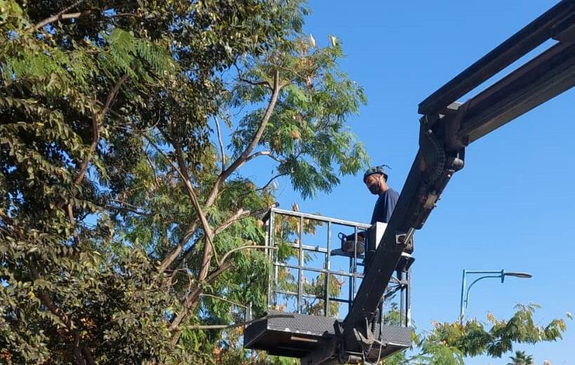 היערכות לחורף בחדרה למניעת הצפות ושיפור תשתיות