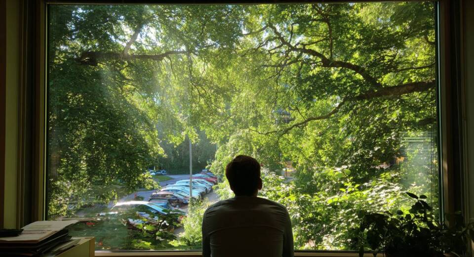 A view through the window at work