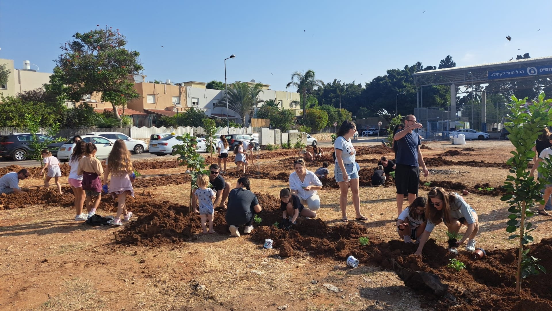 100-trees-were-planted-by-the-Sadot-School-community Home