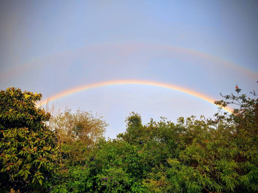 תמונה קשת בענן.jpeg