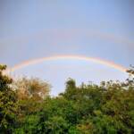 היום הבינלאומי לקידום זכויות אנשים עם מוגבלות בפרדס חנה כרכור