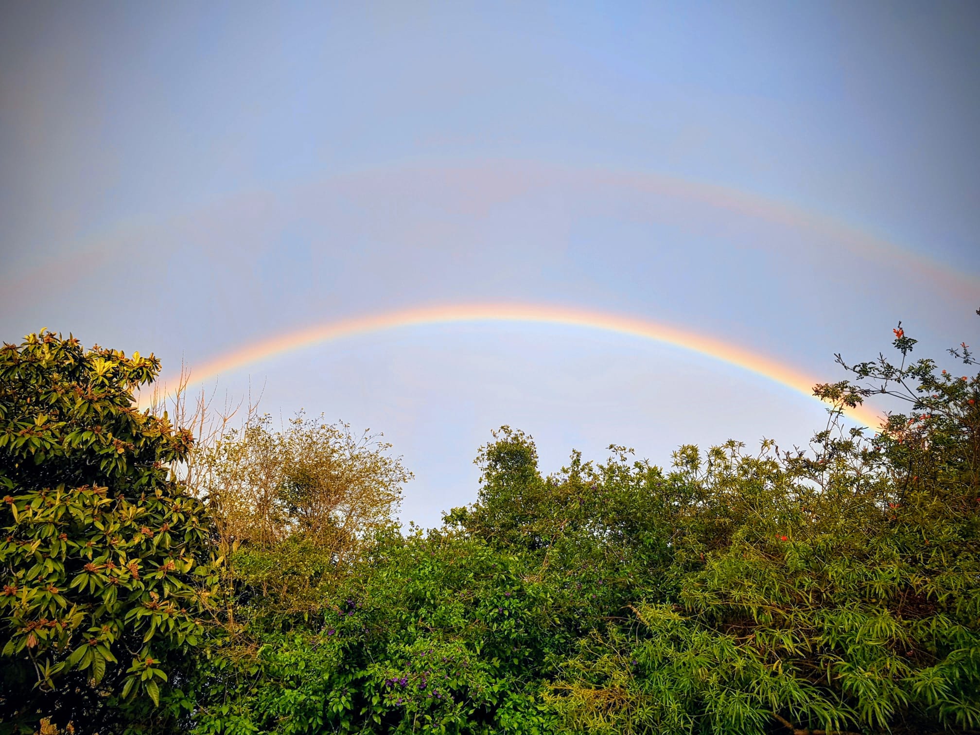 תמונה קשת בענן.jpeg