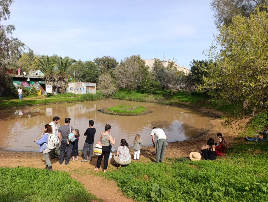 The winter pool in Pardes Hanna was filled with visitors and magical moments of nature.