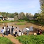 הישג מרשים לאולפנית אמונה אלישבע